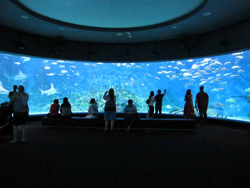 The Oceanarium at the Melbourne Aquarium.