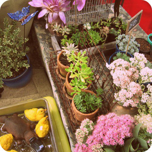 Stalls at the Salamanca Market.