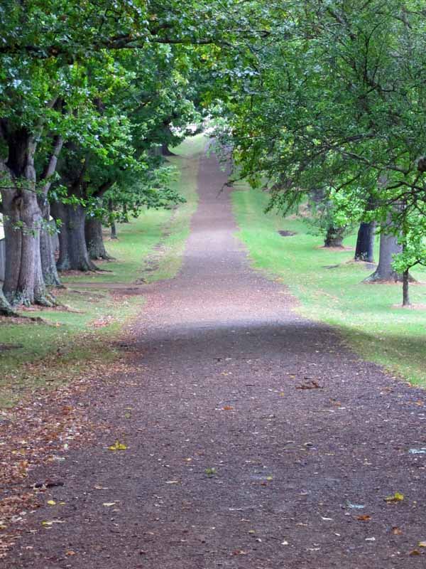 A path in Port Arthur.