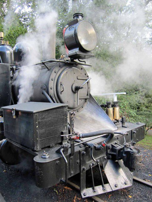 Puffing Billy train.