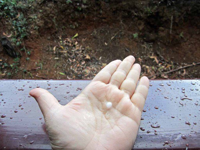 A little ball of hail on the palm of a woman's hand.