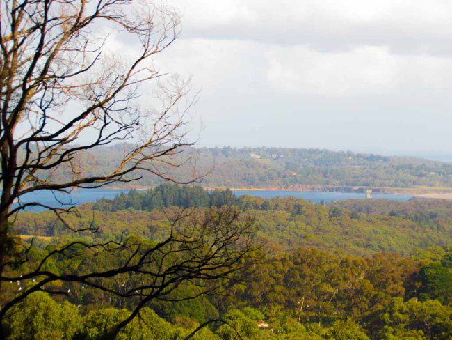 The Dandenongs.