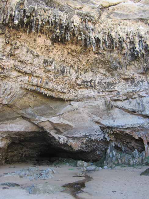 Limestone rock.