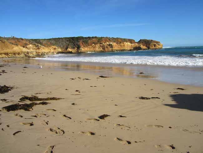 A beach.