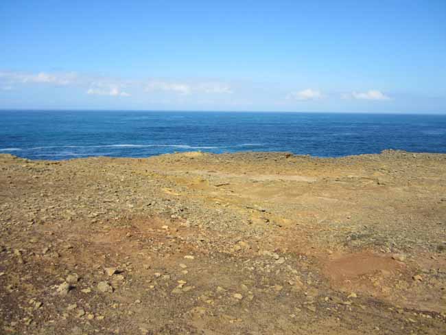 The rugged coastline.