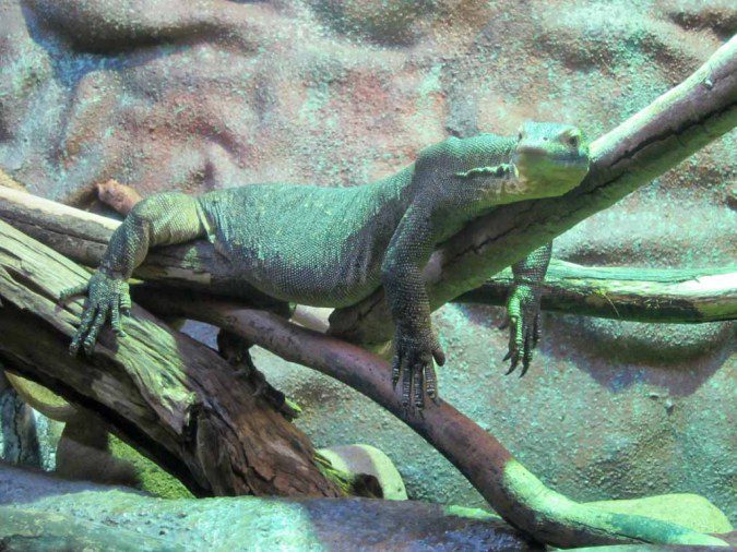 Mertens Water Monitor.
