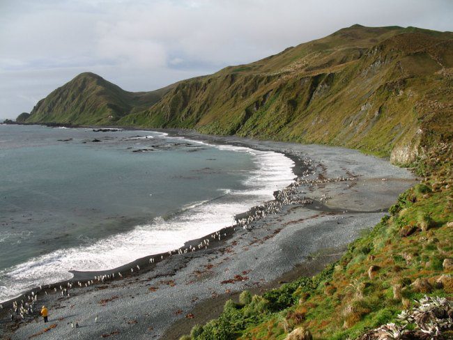 Macquarie Island coast.
