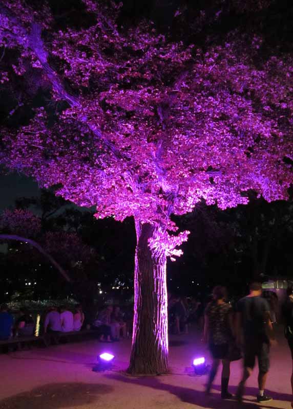 White Night Melbourne 2013.