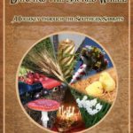 Dancing the Sacred Wheel book cover.