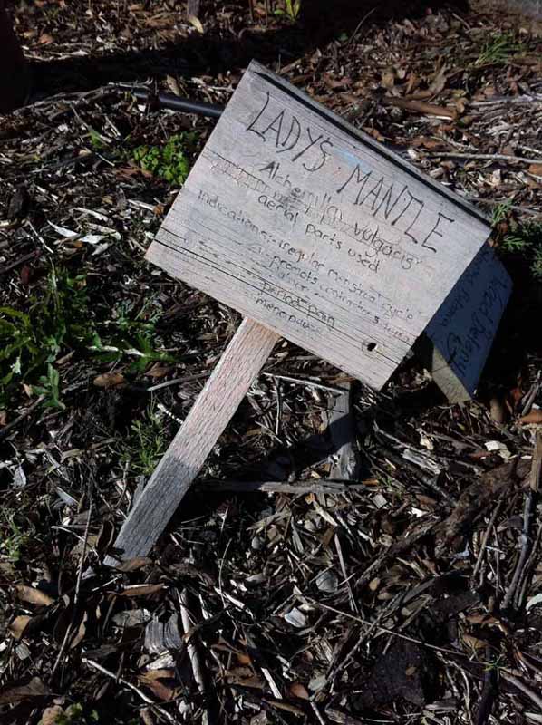 CERES Community Environment Park
