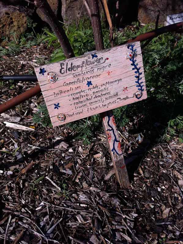CERES Community Environment Park