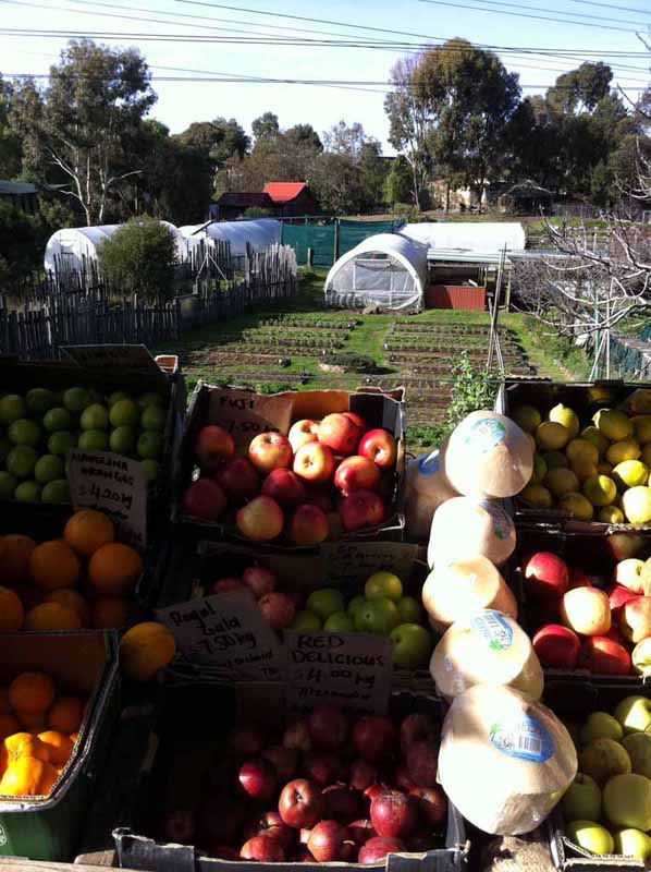 CERES Community Environment Park