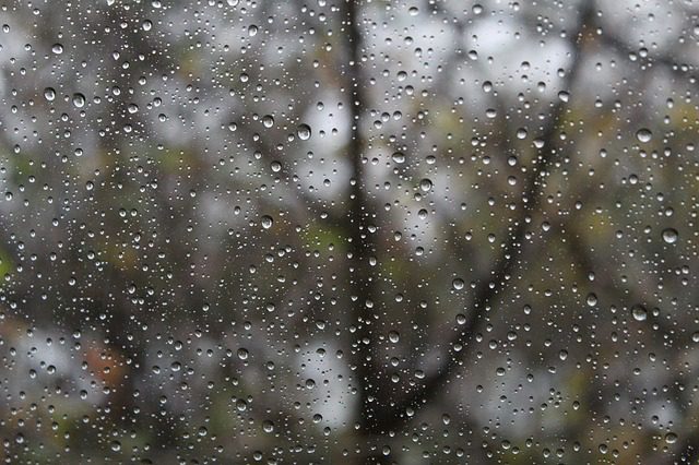 Rain drops on a window.