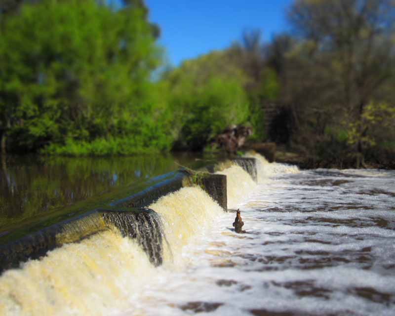 The Campaspe River.