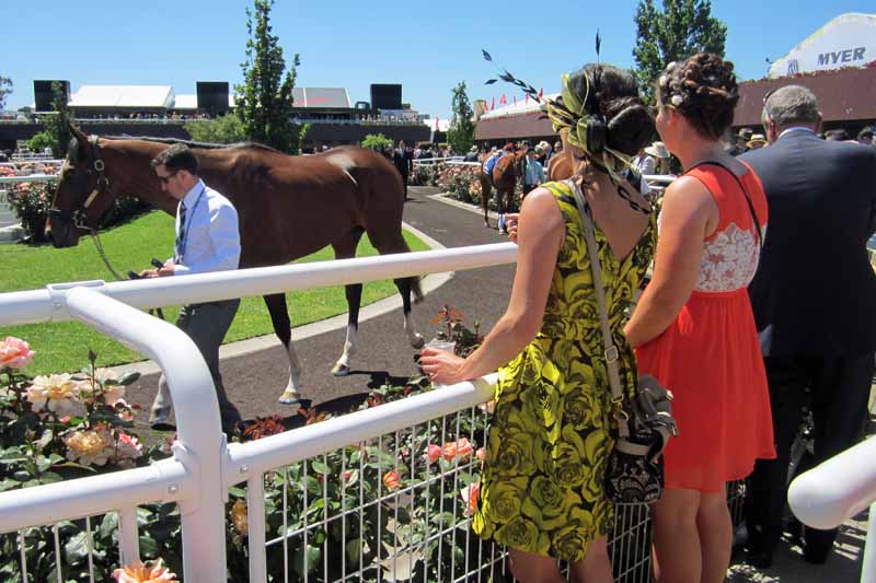 Melbourne Cup Parade Ring.