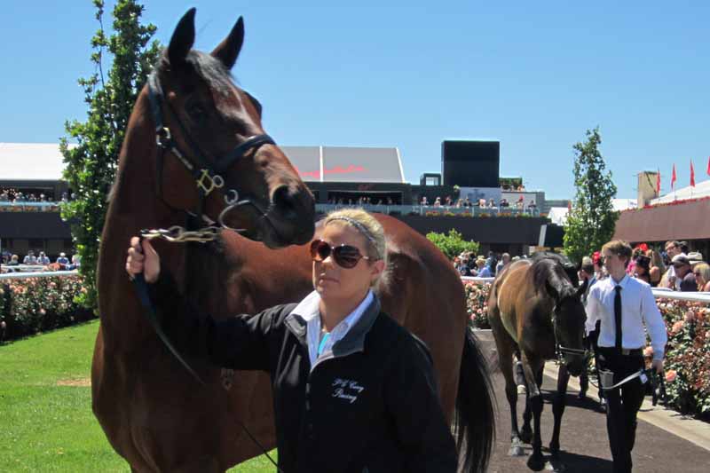Melbourne Cup Parade Ring.