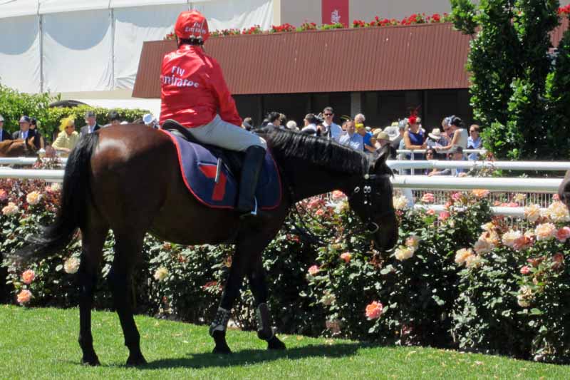 Melbourne Cup Parade Ring.
