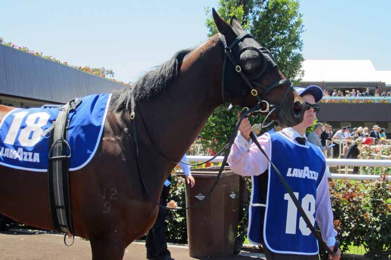 Melbourne Cup Parade Ring.
