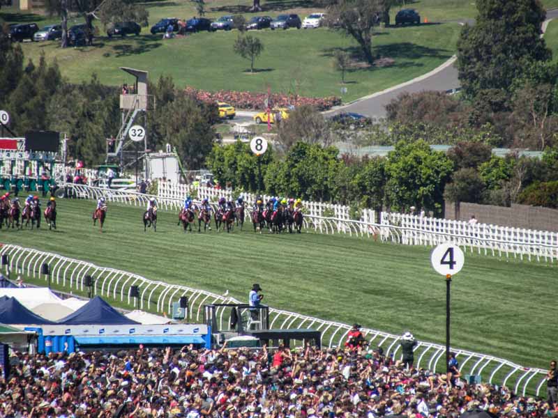 Melbourne Cup Day race.