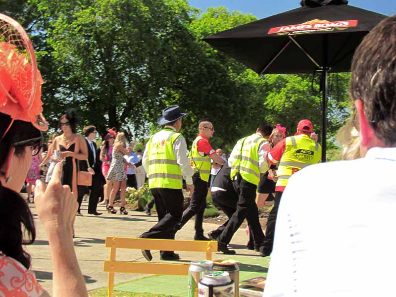 Security removing someone from the park.