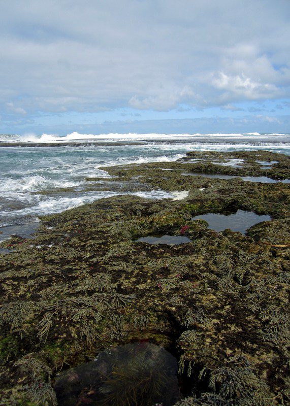 Mornington Peninsula, Sixteenth Beach