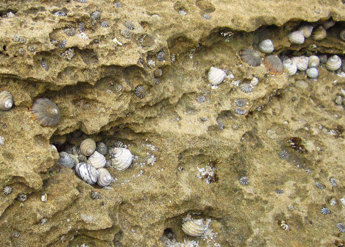 Mornington Peninsula, Sixteenth Beach