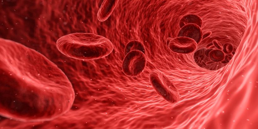 Iron and blood cells.