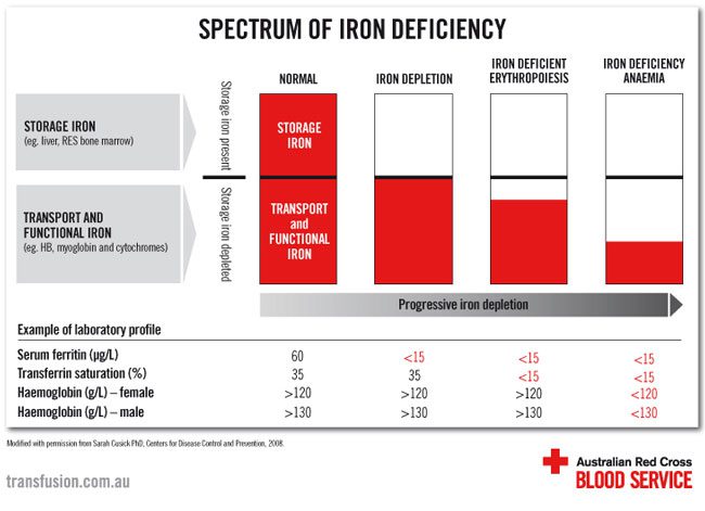 Chart of the spectrum of iron deficiency.