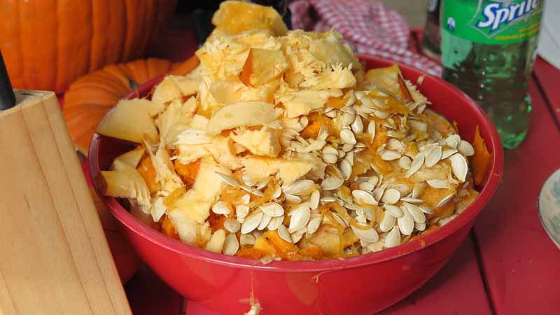 Bits of pumpkin.