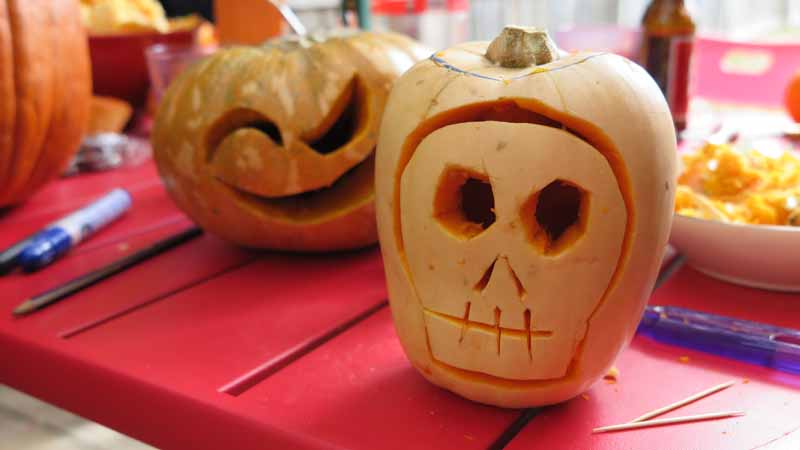 Little carved pumpkins.