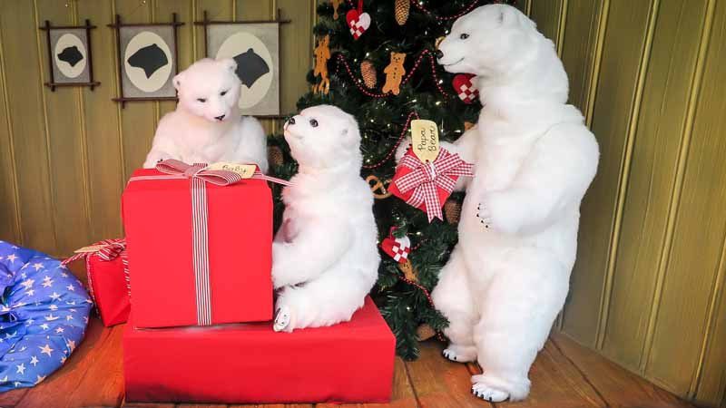 Christmas window at Myers.