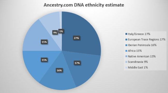 ancestry pie chart
