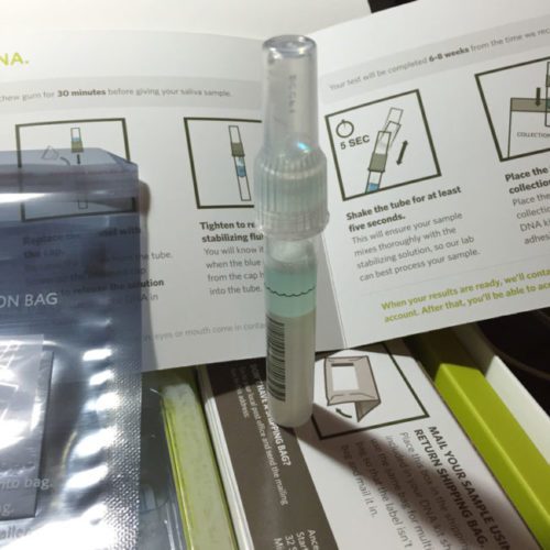 ancestry dna kit