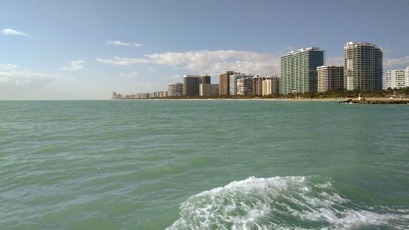 A view of the shore from the boat.