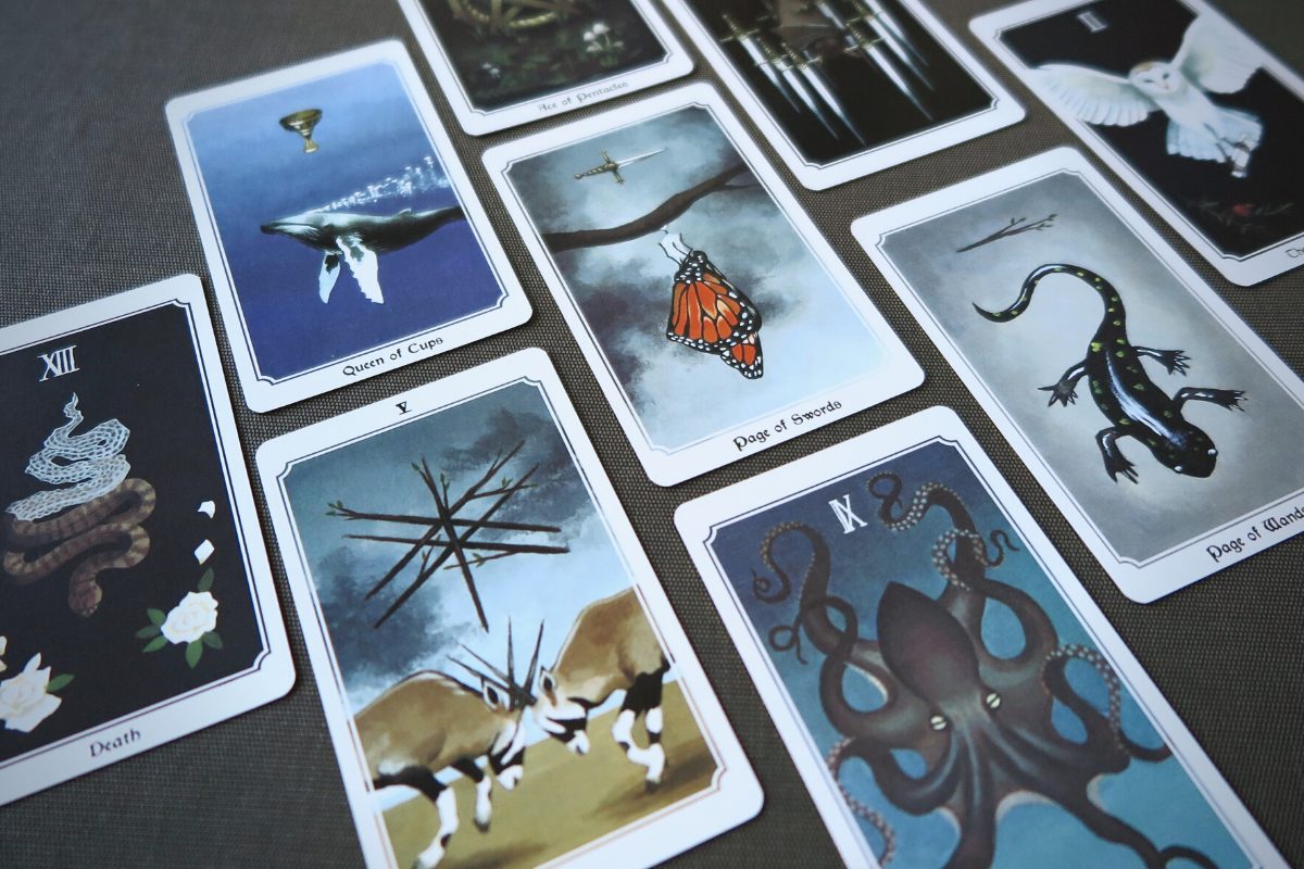 Anima Mundi tarot cards.