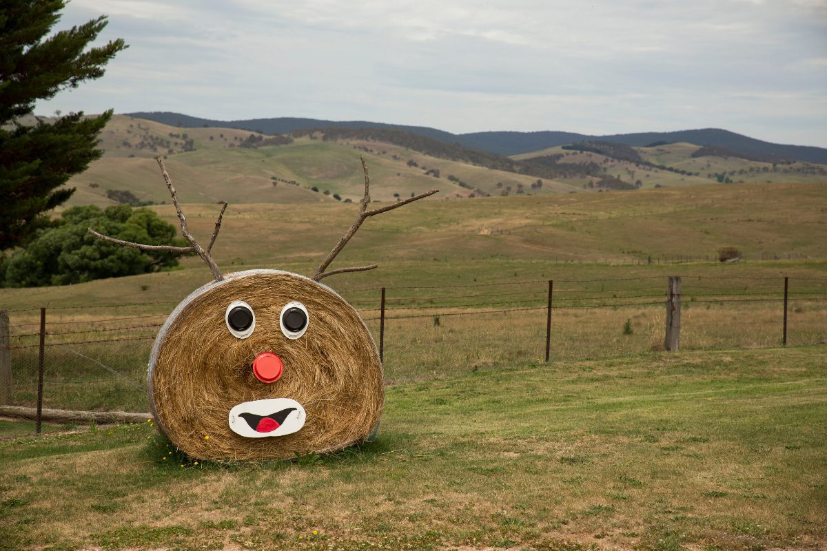 A hay bale decorated as Rudolph for Christmas.