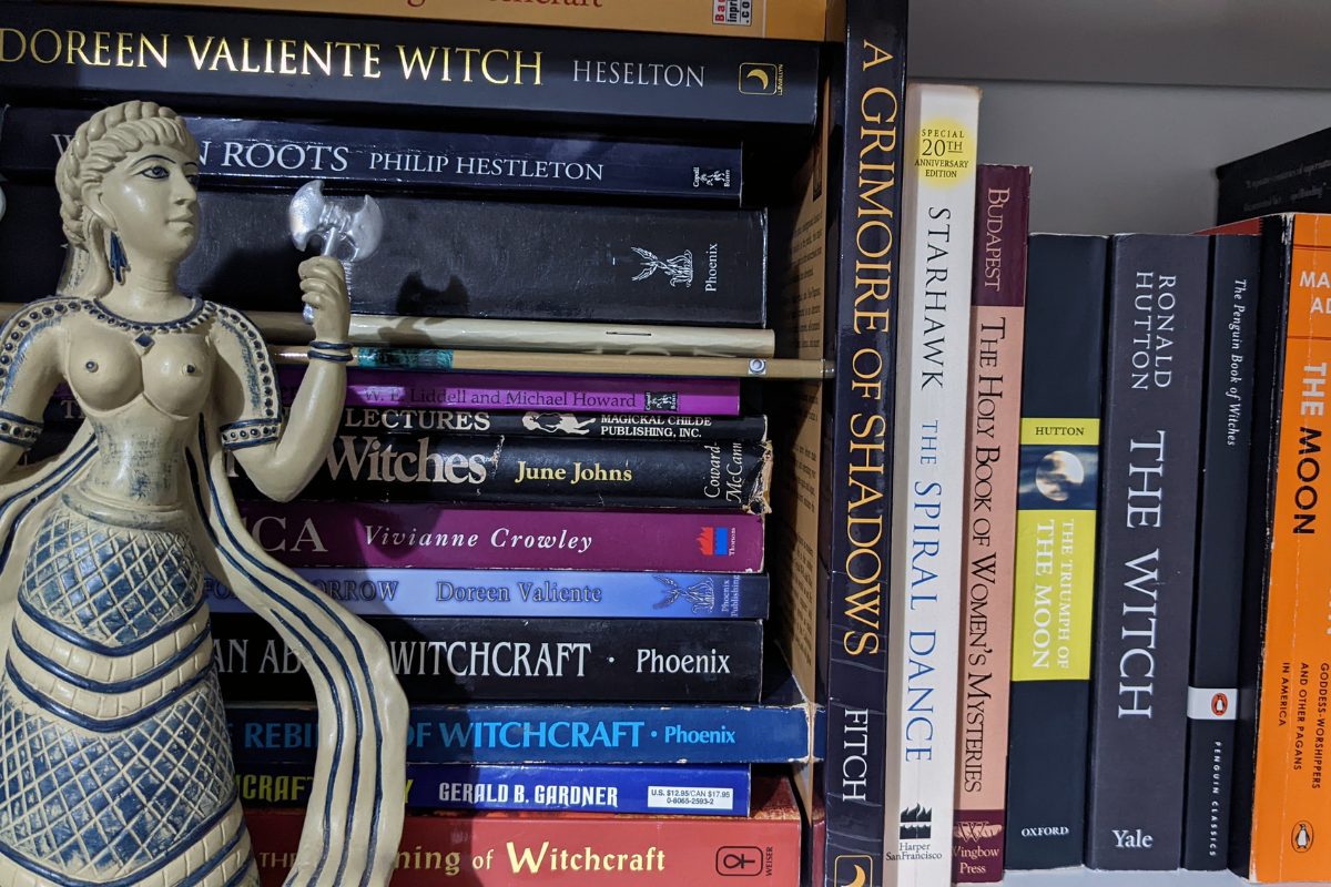 Books on a bookshelf.