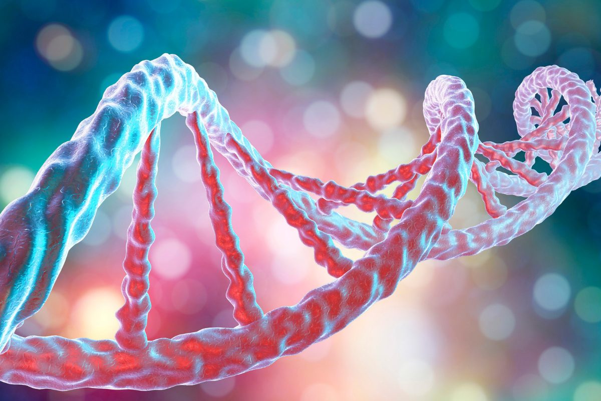 DNA molecule