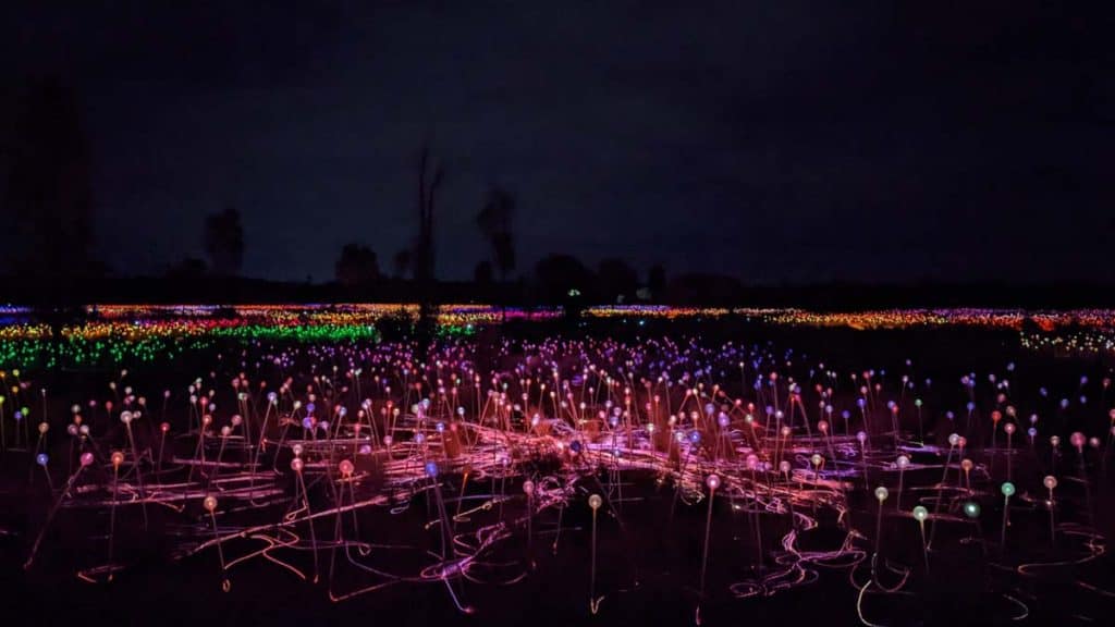 Field of Light at Uluru.