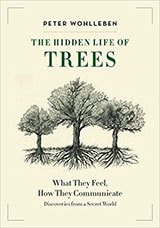 Hidden Life of Trees book cover.