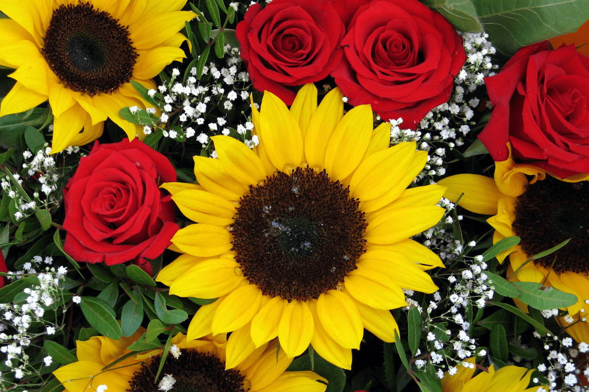 Roses and sunflowers to represent Aphrodite and Oshun.