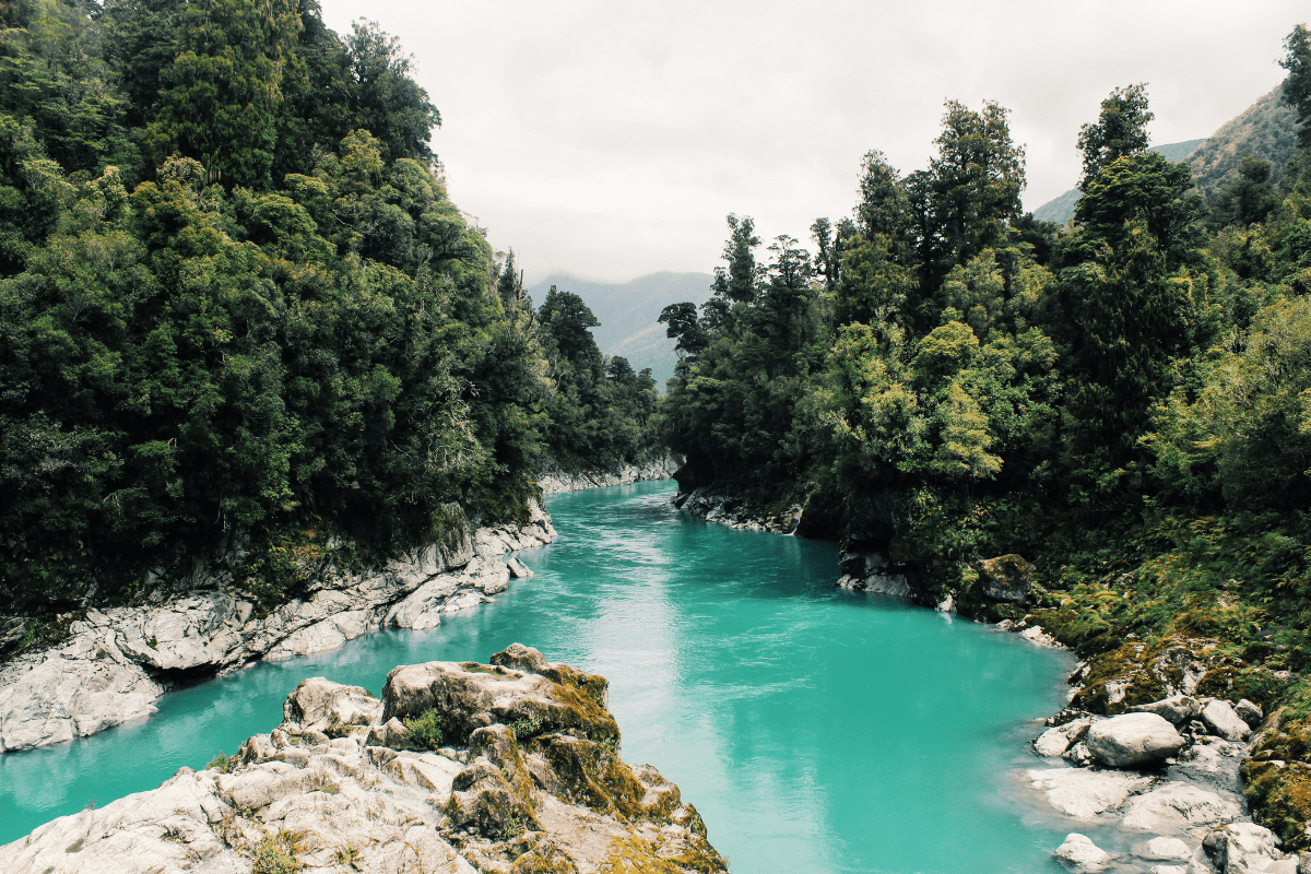Scenic view of a river.