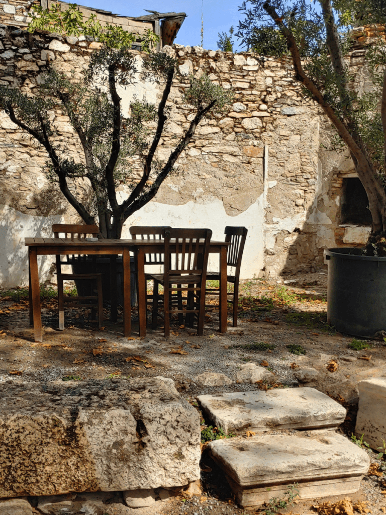 An empty table and chairs under a tree.