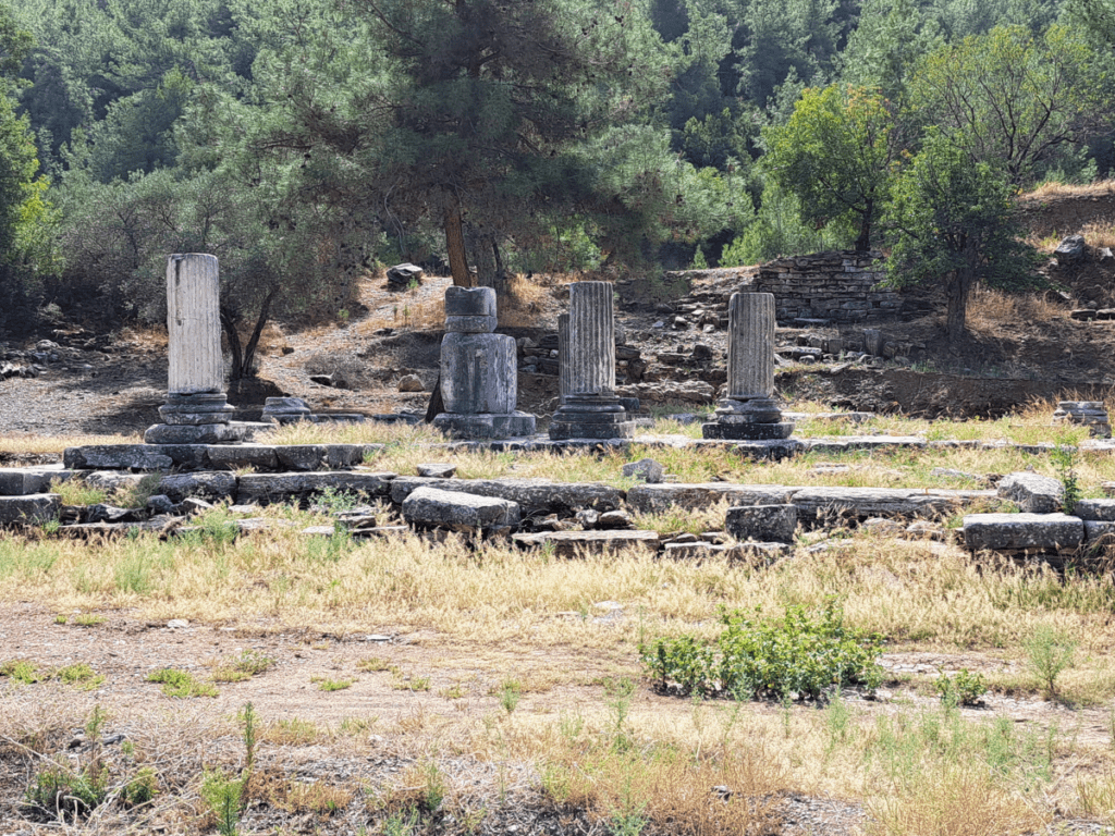 A few columsn from a Roman imperial cult temple.