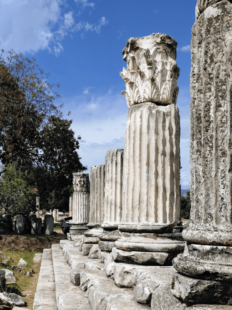 Columns from the Temple of Hekate at Lagina.