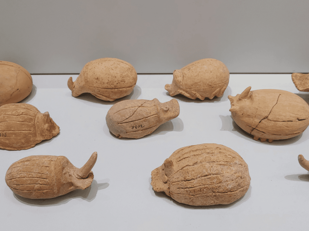 Clay beetles