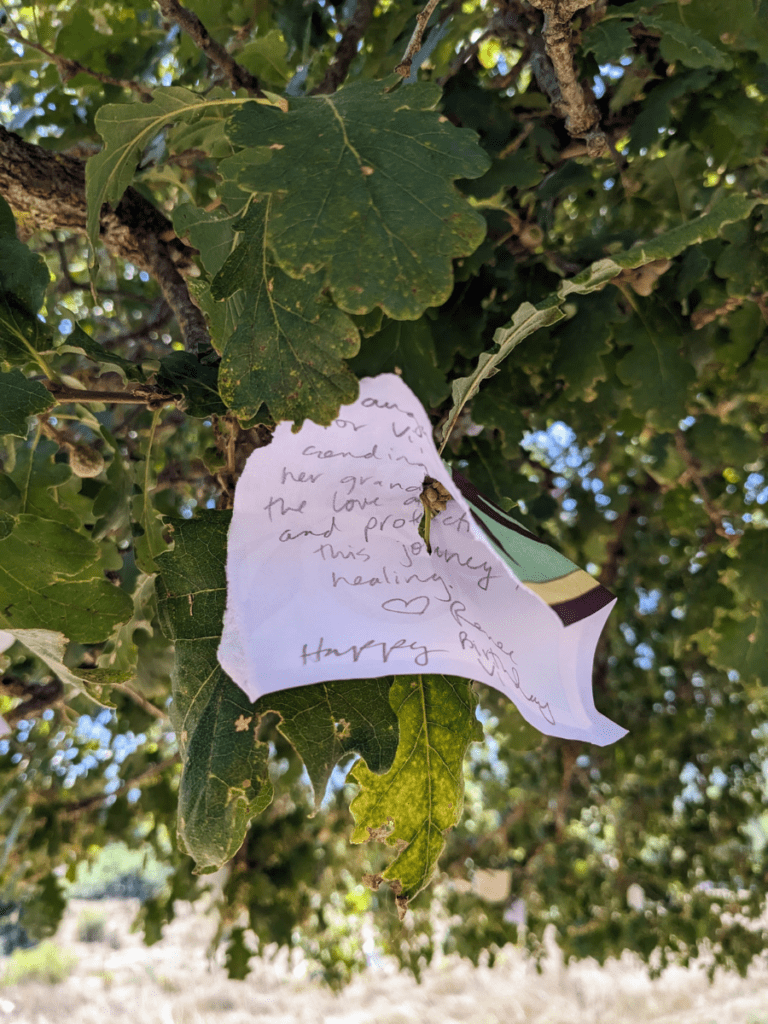 A little piece of paper with a handwritten note on a branch in the oak tree at Dodona.