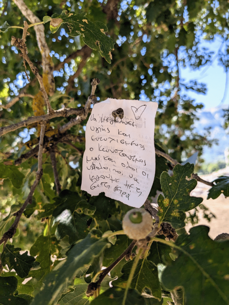 A little piece of paper with a handwritten note on a branch in the oak tree at Dodona.