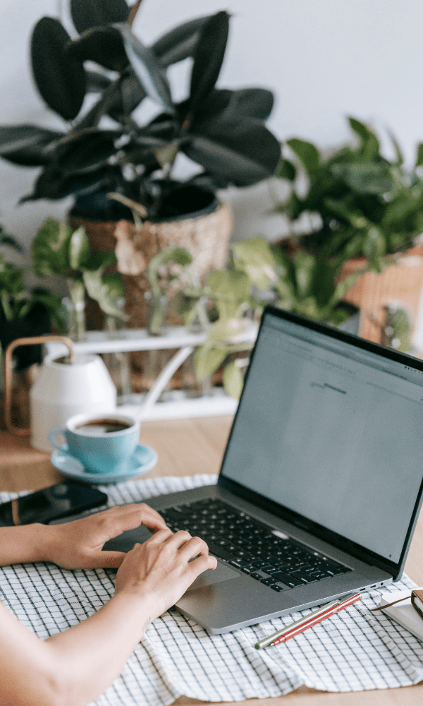 Female hands typing on laptop
