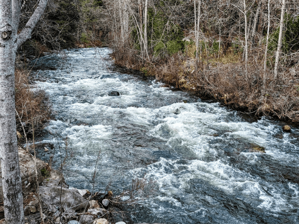 A flowing river.
